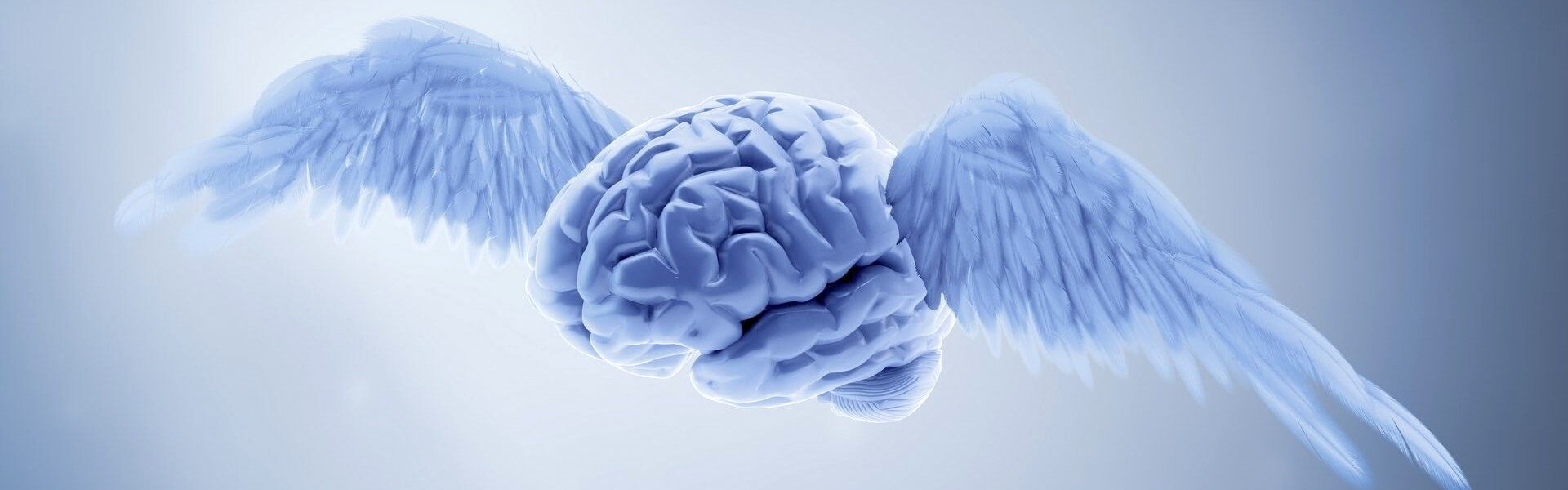 slide-creier-cu-aripi